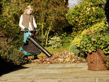 Carica l'immagine nel visualizzatore di Gallery, Bosch Home and Garden 06008A1000 Aspiratore Soffiatore, 300km/h, 800 m3/h,... - Ilgrandebazar