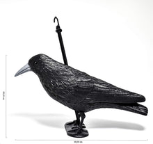 Carica l'immagine nel visualizzatore di Gallery, Blossom Design Corvo Scacciapiccioni 2a Generazione Spaventapasseri Big, nero - Ilgrandebazar
