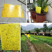 Carica l'immagine nel visualizzatore di Gallery, Ecwin 20 Pezzi Trappola per Mosche Trappole Appiccicose Gialle Plant 20 - Ilgrandebazar