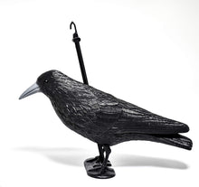 Carica l'immagine nel visualizzatore di Gallery, Blossom Design Corvo Scacciapiccioni 2a Generazione Spaventapasseri Big, nero - Ilgrandebazar