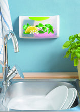 Carica l'immagine nel visualizzatore di Gallery, Snips 020755 ORDINELLO-Contenitore per spugne e 23x8x13 cm, Bianco Con Decori - Ilgrandebazar