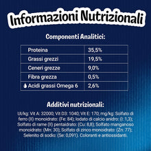 Carica l'immagine nel visualizzatore di Gallery, 17