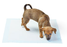 Carica l'immagine nel visualizzatore di Gallery, AmazonBasics - Tappetini igienici assorbenti per animali Pacco da 100, Blu - Ilgrandebazar