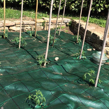 Carica l'immagine nel visualizzatore di Gallery, Tenax Telo Antierbacce Professionale per Pacciamatura, Cover 500x160, Verde - Ilgrandebazar