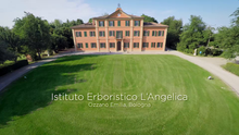 Carica l'immagine nel visualizzatore di Gallery, L'Angelica Misto Tisane 4 Gusti - 20 filtri
