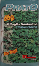 Carica l'immagine nel visualizzatore di Gallery, Trifoglio Nanissimo tappezzante 500gr per 250mq - Ilgrandebazar