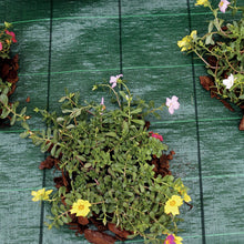 Carica l'immagine nel visualizzatore di Gallery, Tenax Telo Antierbacce Professionale per Pacciamatura, Cover 500x160, Verde - Ilgrandebazar