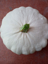Carica l'immagine nel visualizzatore di Gallery, SEMI ZUCCA PATTY PAN (PATISSON) - Ilgrandebazar