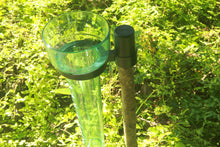 Carica l'immagine nel visualizzatore di Gallery, WARKHOME Pluviometro e in Plastica da Esterni 110X250X85MM, Green - Ilgrandebazar