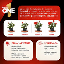 Carica l'immagine nel visualizzatore di Gallery, 7
