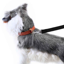 Carica l'immagine nel visualizzatore di Gallery, HAPPY HACHI Lungo Guinzaglio per Cani con Maniglia M Lunghezza 10m, Nero - Ilgrandebazar