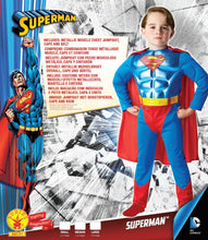 Carica l'immagine nel visualizzatore di Gallery, Rubie's, prodotto ufficiale, costume da Small Ages 3 - 4, Multicoloured
