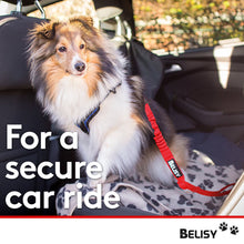 Carica l'immagine nel visualizzatore di Gallery, BELISY Cintura di sicurezza per cani - adatta a tutte le razze - m, Rosso - Ilgrandebazar