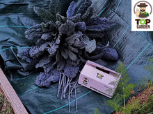 Carica l'immagine nel visualizzatore di Gallery, TOP GARDEN  Picchetti Telo PACCIAMATURA e per Pacciamatura, 100... - Ilgrandebazar