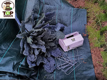 Carica l'immagine nel visualizzatore di Gallery, TOP GARDEN  Picchetti Telo PACCIAMATURA e per Pacciamatura, 100... - Ilgrandebazar
