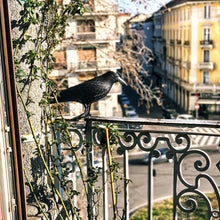 Carica l'immagine nel visualizzatore di Gallery, Blossom Design Corvo Scacciapiccioni 2a Generazione Spaventapasseri Big, nero - Ilgrandebazar