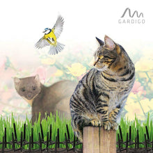 Carica l'immagine nel visualizzatore di Gallery, Gardigo Dissuasori per volatili anti piccioni, uccelli, gatti, cani | Set di...
