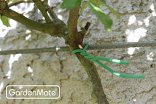 Carica l'immagine nel visualizzatore di Gallery, GardenMate 1x Bobina Filo di Ferro da Giardinaggio Rivestito Gommato 1