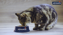 Carica l'immagine nel visualizzatore di Gallery, Advance Cibo per Gatti Sterilized Sensitive Salmone 3 Kg