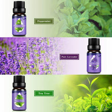 Carica l'immagine nel visualizzatore di Gallery, Oli Essenziali per Diffusori,Aromaterapia Puri Viola
