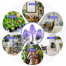Carica l'immagine nel visualizzatore di Gallery, infinitoo Lampada per Piante, Grow Light Lampade LED Piante Infinitoo-a