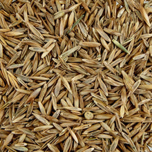 Carica l'immagine nel visualizzatore di Gallery, Prato rustico e decorativo, Resistente al calpestio, 1 kg per 35 m², Batlle
