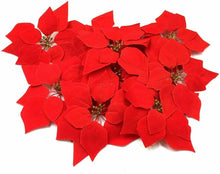 Carica l'immagine nel visualizzatore di Gallery, HMILYDYK 20PCS Christmas Decor fiori artificiali rosso stella di Natale...
