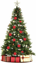 Carica l'immagine nel visualizzatore di Gallery, HMILYDYK 20PCS Christmas Decor fiori artificiali rosso stella di Natale...