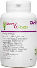 Carica l'immagine nel visualizzatore di Gallery, Cardo Mariano Bio - Silybum marianum - 300mg - 200 capsule vegetali