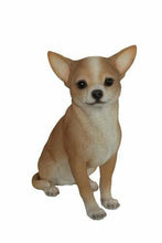 Carica l'immagine nel visualizzatore di Gallery, Vivid Arts Chihuahua, Cane Resina Ornamento