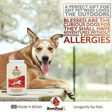 Carica l'immagine nel visualizzatore di Gallery, Best Paw Nutrition - Omega 3 Olio di Pesce per Cani 120 softgels 120