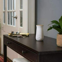 Carica l'immagine nel visualizzatore di Gallery, 2 x Ricariche per profumo d'ambiente Glade Sense &amp; Spray, Fragranza Relaxing Zen