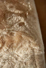 Carica l'immagine nel visualizzatore di Gallery, Karlie 34570 Scalini per Cani, 41 X 30 X 42 Cm, Beige